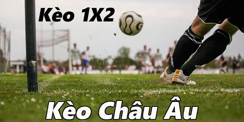 Đôi nét về tỷ lệ kèo châu Âu